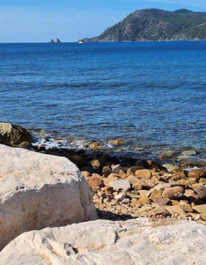 Studio Climatise Avec Jardin Et Plage A 250M Saint-Mandrier-sur-Mer Exteriér fotografie